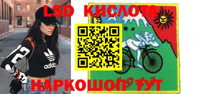 СК Кимры