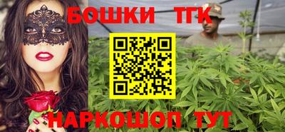 сатива Кингисепп