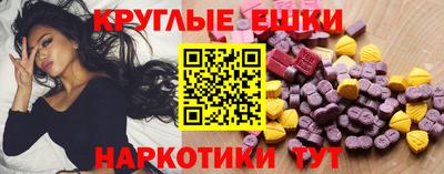 сатива Кингисепп