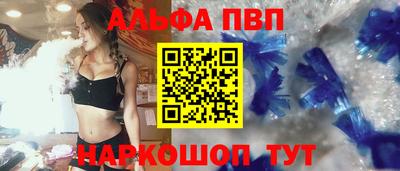 сатива Кингисепп