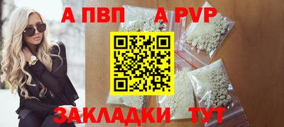 сатива Кингисепп