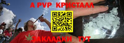 сатива Кингисепп