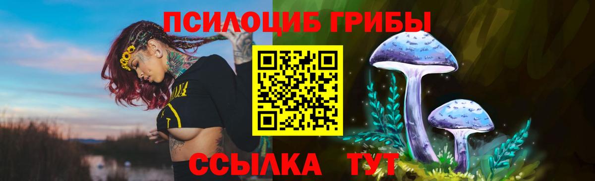 Кимры  Галлюциногенные грибы GOLDEN TEACHER  Вход с VPN 