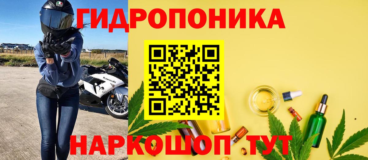 Бошки Шишки AK-47  Бошки марихуана семена  Вход с VPN  Конопля MAZAR  Кимры 