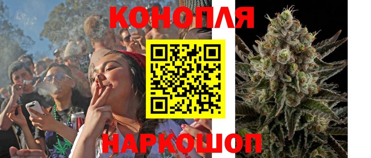 Конопля OG Kush Кимры